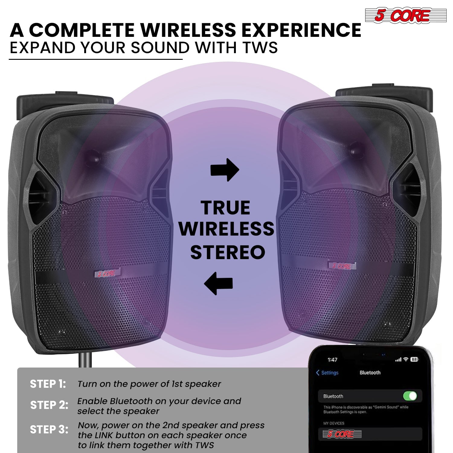 5Core 10 inch PA Portable Bluetooth Party Speaker Karaoke Boombox + 2 Wireless Mics 2 PCS-1